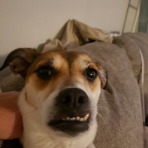 Meet your Posher, Marshall